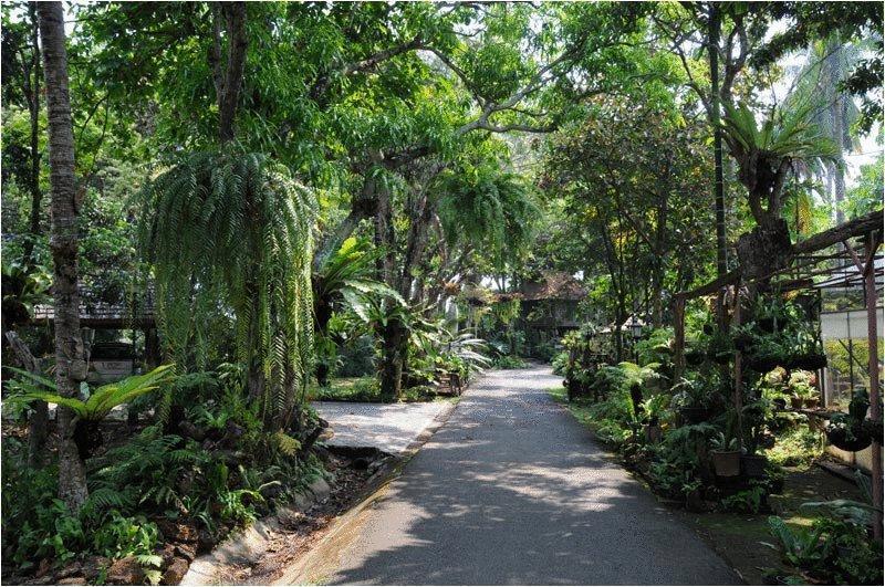 Fern Paradise Hotel Chiang Mai Luaran gambar
